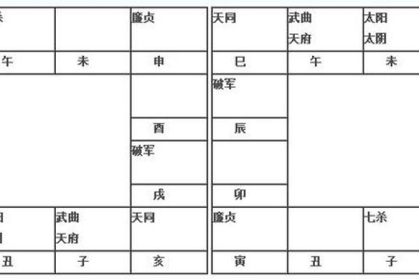 2025年2月15日丑时男命紫微斗数全解盘