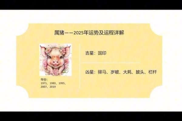 2025年属猪人需警惕的一个人运势关键点解析 2025年属猪人需警惕的一个人运势关键点解析