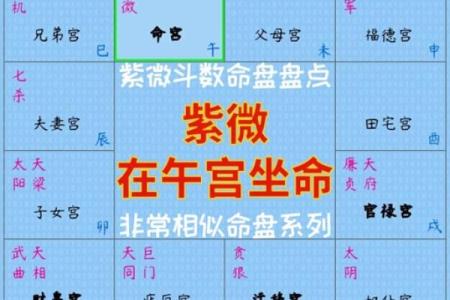2025年3月3日寅时男命紫微斗数全解盘