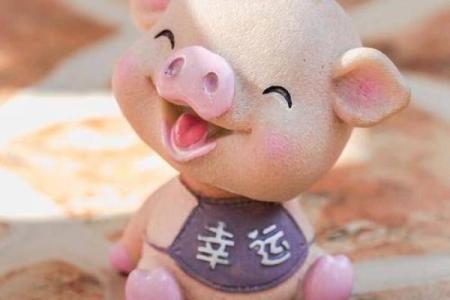 属猪的幸运色是什么颜色2025_1983年属猪的幸运色是什么颜色