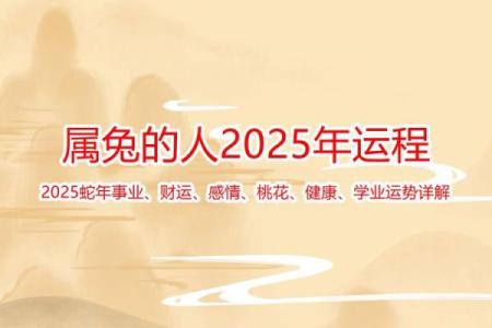 2025年生肖兔运势详解全年运程大揭秘