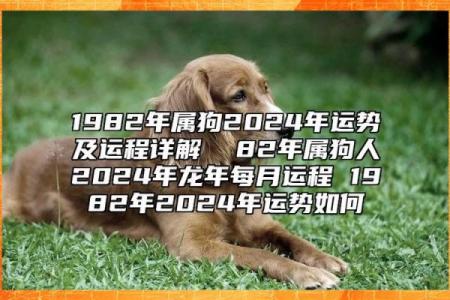 属狗今年运势2025年运势如何_94年属狗31岁有一劫