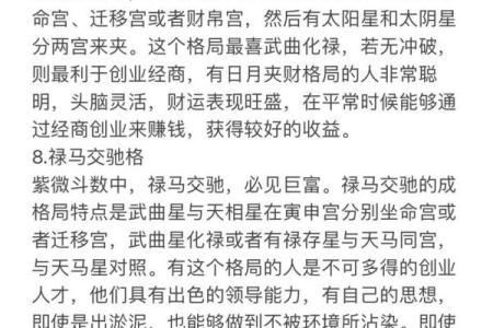 2025年2月26日子时男命紫微斗数全解盘