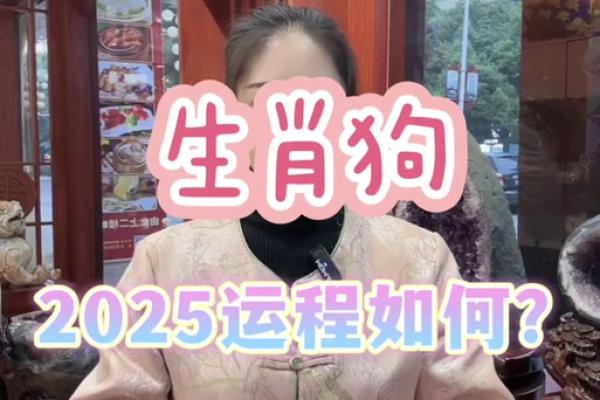 属狗人的2025年运势_2025年肖狗人的运势和运程 属狗人的2025年运势_2025年肖狗人的运势和运程