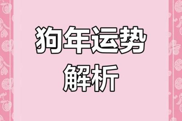 2025年属狗人全年运势详解70年出生者运程预测 2025年属狗人全年运势详解70年出生者运程预测