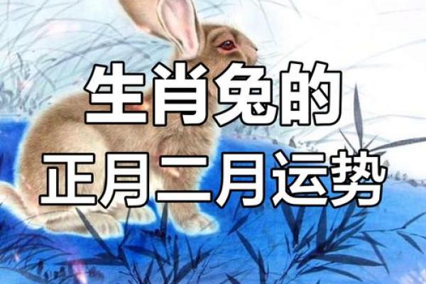 2015年属兔人的全年运势 2015年属兔人的全年运势详解