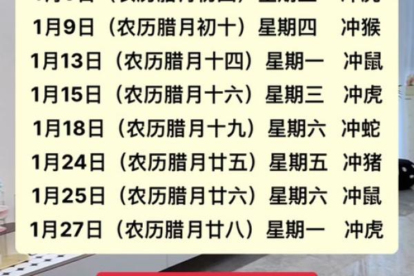 属猪的今年多大了2025年_属猪的今年多大了2025年出生 属猪的今年多大了2025年_属猪的今年多大了2025年出生