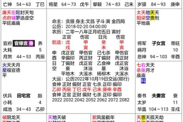 2025年2月22日寅时女命紫微斗数全解盘 2025年2月22日寅时女命紫微斗数全解盘