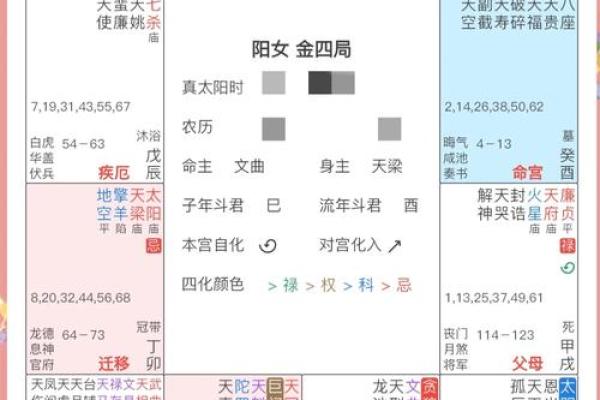 2025年3月7日丑时女命紫微斗数全解盘 2025年3月7日丑时女命紫微斗数全解盘