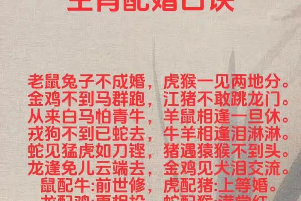 1999年属兔的最佳婚配_1999年属兔的最佳婚配白头偕老 1999年属兔的最佳婚配_1999年属兔的最佳婚配白头偕老