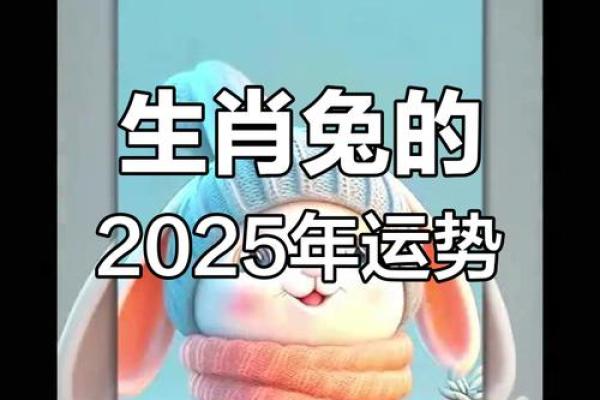 2025年属兔人每月运势完整版_2025年生肖兔 2025年属兔人每月运势完整版_2025年生肖兔