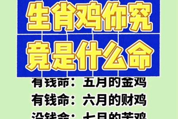 百川入海十来米是什么生肖 百川入海十来米是什么生肖