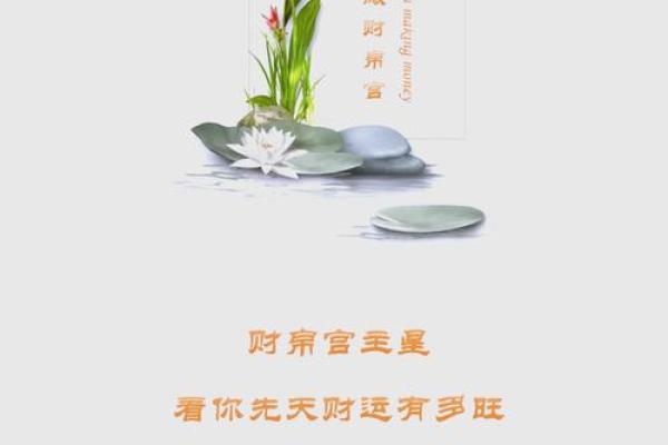 财帛空宫 财帛空宫解析财富运势与破解之道 财帛空宫 财帛空宫解析财富运势与破解之道