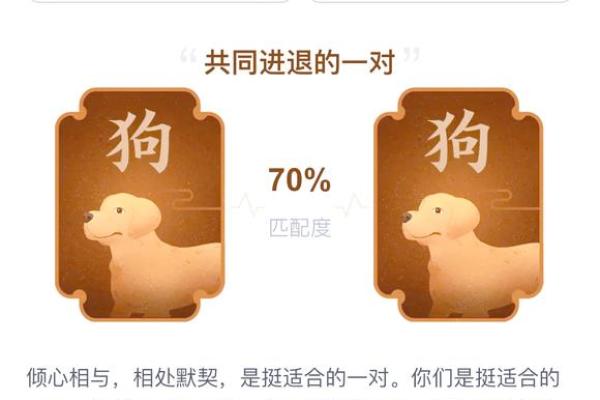 属狗和属兔的姻缘如何_属狗跟属兔的姻缘怎么样 属狗和属兔的姻缘如何_属狗跟属兔的姻缘怎么样