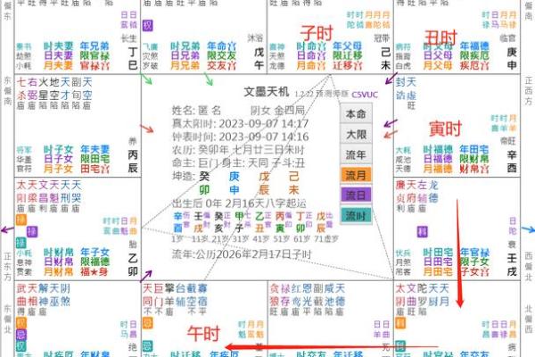 2025年2月19日子时男命紫微斗数全解盘