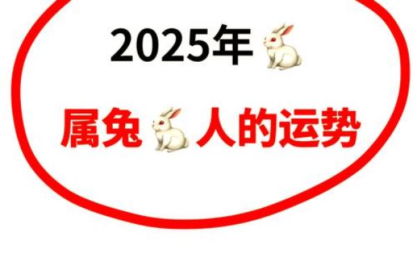 2025年属兔的人运气怎么样 2025年属兔人运势解析财运事业感情全揭秘 2025年属兔的人运气怎么样 2025年属兔人运势解析财运事业感情全揭秘