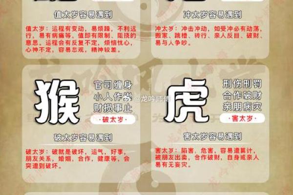 改朝换代什么生肖