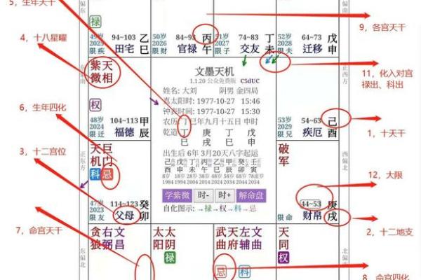 2025年3月20日丑时男命紫微斗数全解盘 2025年3月20日丑时男命紫微斗数全解盘