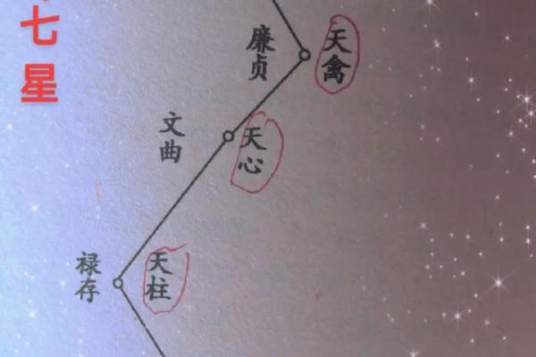 福德宫紫微贪狼星 福德宫紫微贪狼星解析命理运势与人生指引 福德宫紫微贪狼星 福德宫紫微贪狼星解析命理运势与人生指引