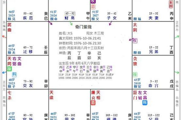 2025年2月28日子时男命紫微斗数全解盘
