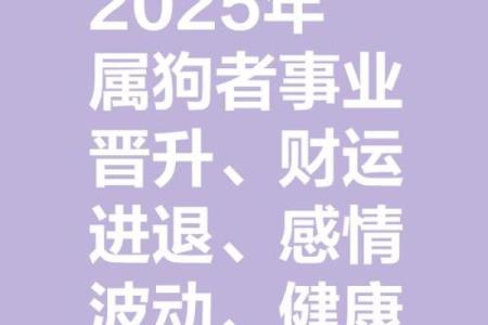 1982年属狗2025年生肖运程_1982年属狗2025年运势解析生肖运程全揭秘