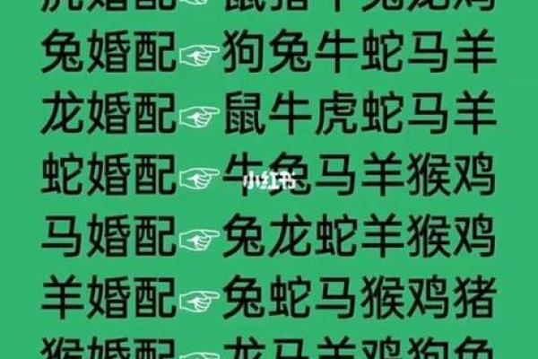 回天无力是什么生肖 回天无力是什么生肖
