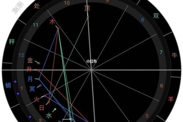 2025年3月5日丑时男命紫微斗数全解盘 2025年3月5日丑时男命紫微斗数全解盘