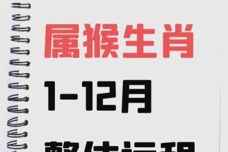 属猴2022年的运势