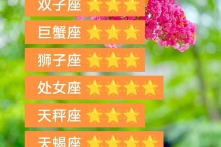 白羊座今日运势星座2025年4月5日(白羊座今日运势2021年2月5日)