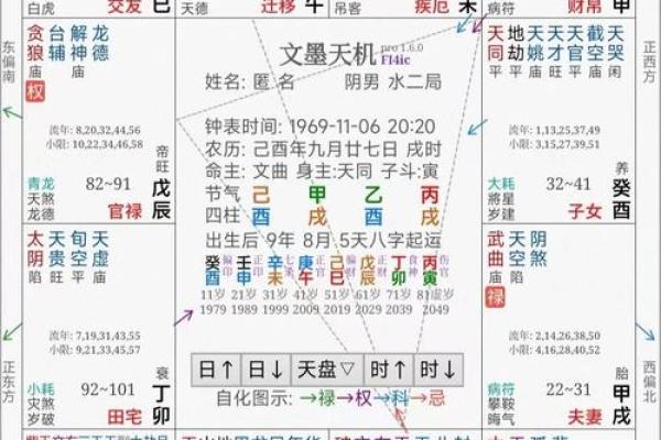 2025年3月7日寅时女命紫微斗数全解盘