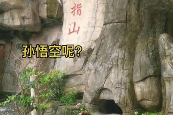 五指山上人中人是什么生肖