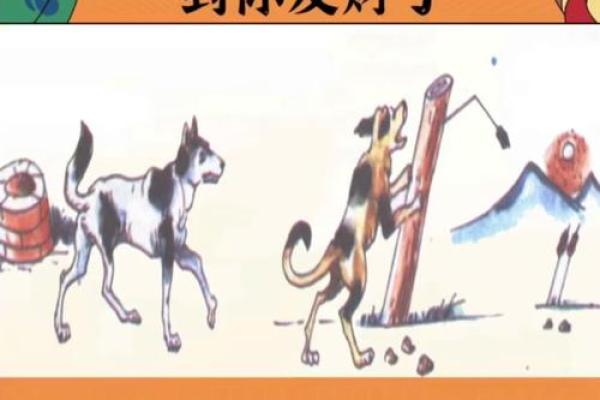 贪得无厌是指什么生肖 贪得无厌是指什么生肖