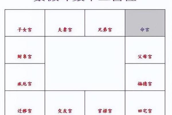 2025年3月23日子时女命紫微斗数全解盘