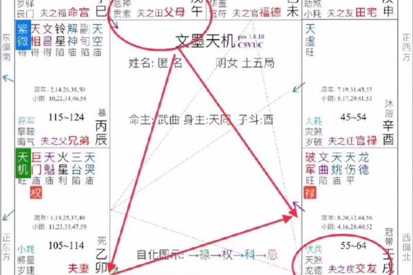 2025年3月23日丑时男命紫微斗数全解盘