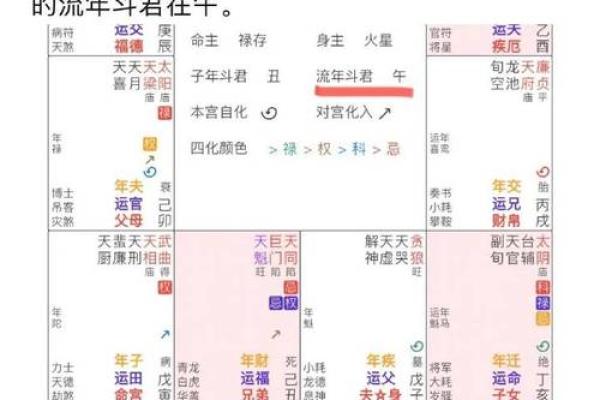 2025年3月17日丑时女命紫微斗数全解盘 2025年3月17日丑时女命紫微斗数全解盘