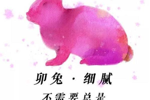 2025年属兔人每月运势 2025年属兔的全年运势及运程详解 2025年属兔人每月运势 2025年属兔的全年运势及运程详解