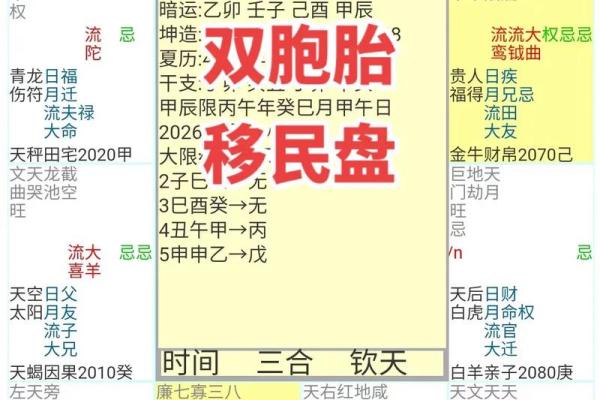 2025年2月26日卯时男命紫微斗数全解盘