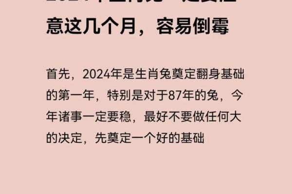 属兔2025几岁 2025年属兔人的全年运势每月运势 属兔2025几岁 2025年属兔人的全年运势每月运势