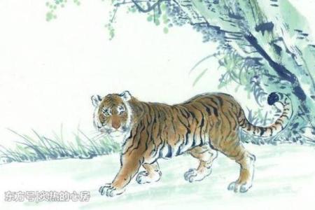 水火无情打一生肖