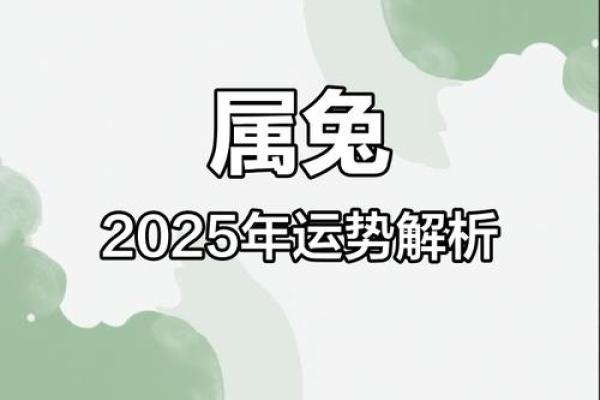 2025年属兔人运势解析财运与运气全揭秘 2025年属兔人运势解析财运与运气全揭秘