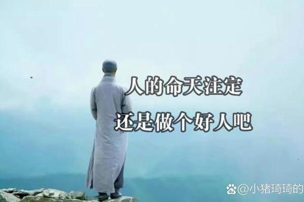无家可归打一生肖