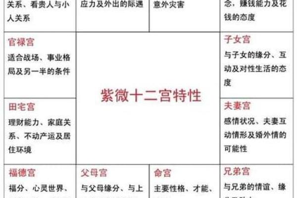 地劫在子女宫代表什么 地劫在子女宫的含义解析影响与应对策略