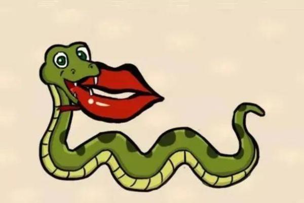 万无一失什么生肖 万无一失什么生肖