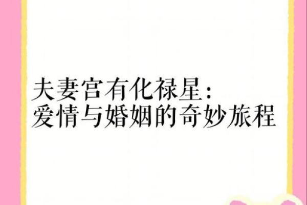 夫妻宫化禄入子女宫 夫妻宫化禄入子女宫什么意思 夫妻宫化禄入子女宫 夫妻宫化禄入子女宫什么意思