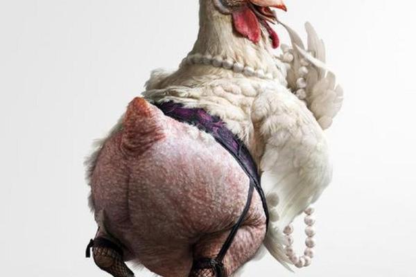 色中饿鬼是什么动物