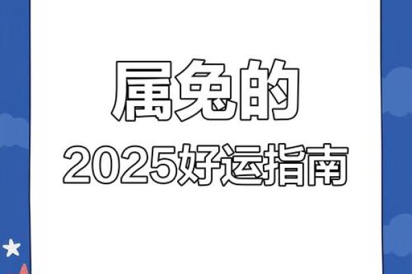 属兔的2025年运势解析机遇与挑战并存 属兔的2025年运势解析机遇与挑战并存
