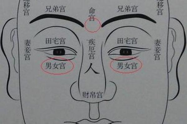 地空星在子女宫_地空星入子女宫