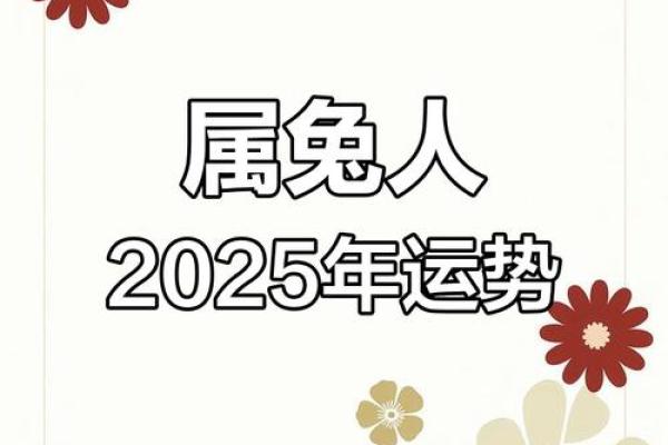 2025年属兔人全年运势1987 2025年属兔人全年运势解析1987年出生者必看 2025年属兔人全年运势1987 2025年属兔人全年运势解析1987年出生者必看