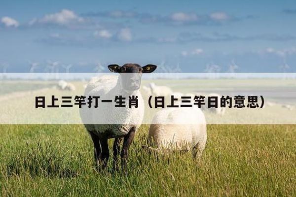 羽扇丝巾打一生肖 羽扇丝巾打一生肖