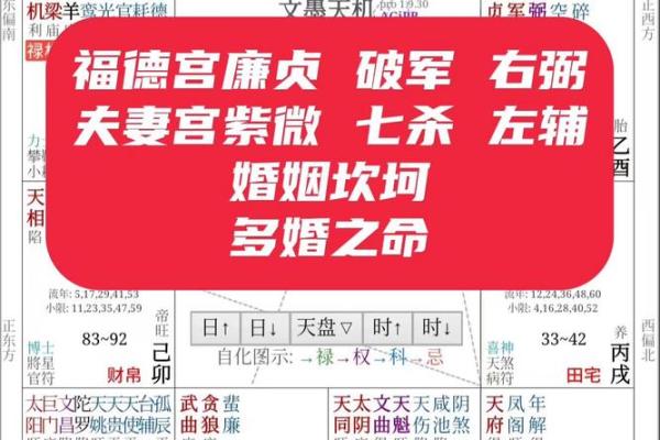 夫妻宫廉贞平 八字夫妻宫查询 夫妻宫廉贞平 八字夫妻宫查询
